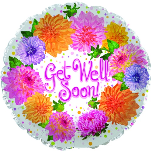 Get Well Soon Chrysanthemum